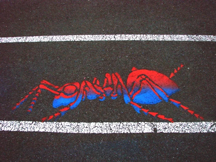 ant hill 11.jpg