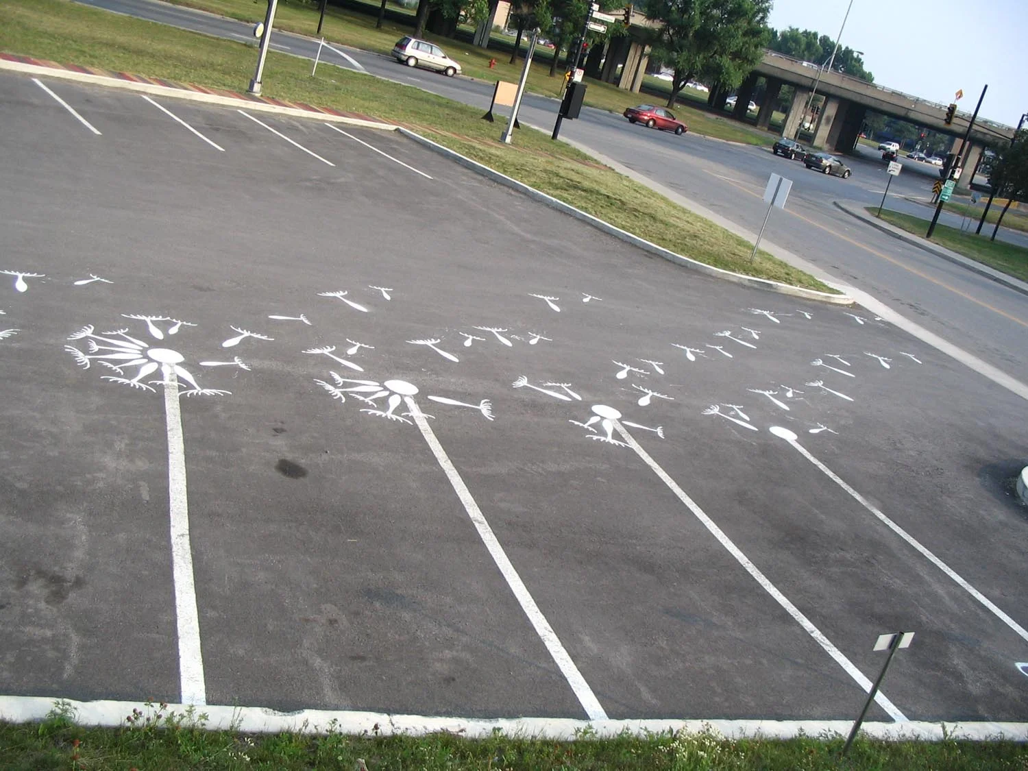 19.JPG