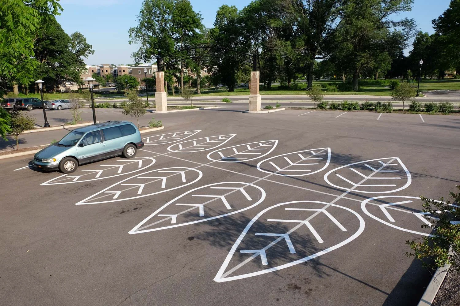 Parking lot leaves_HR.jpg