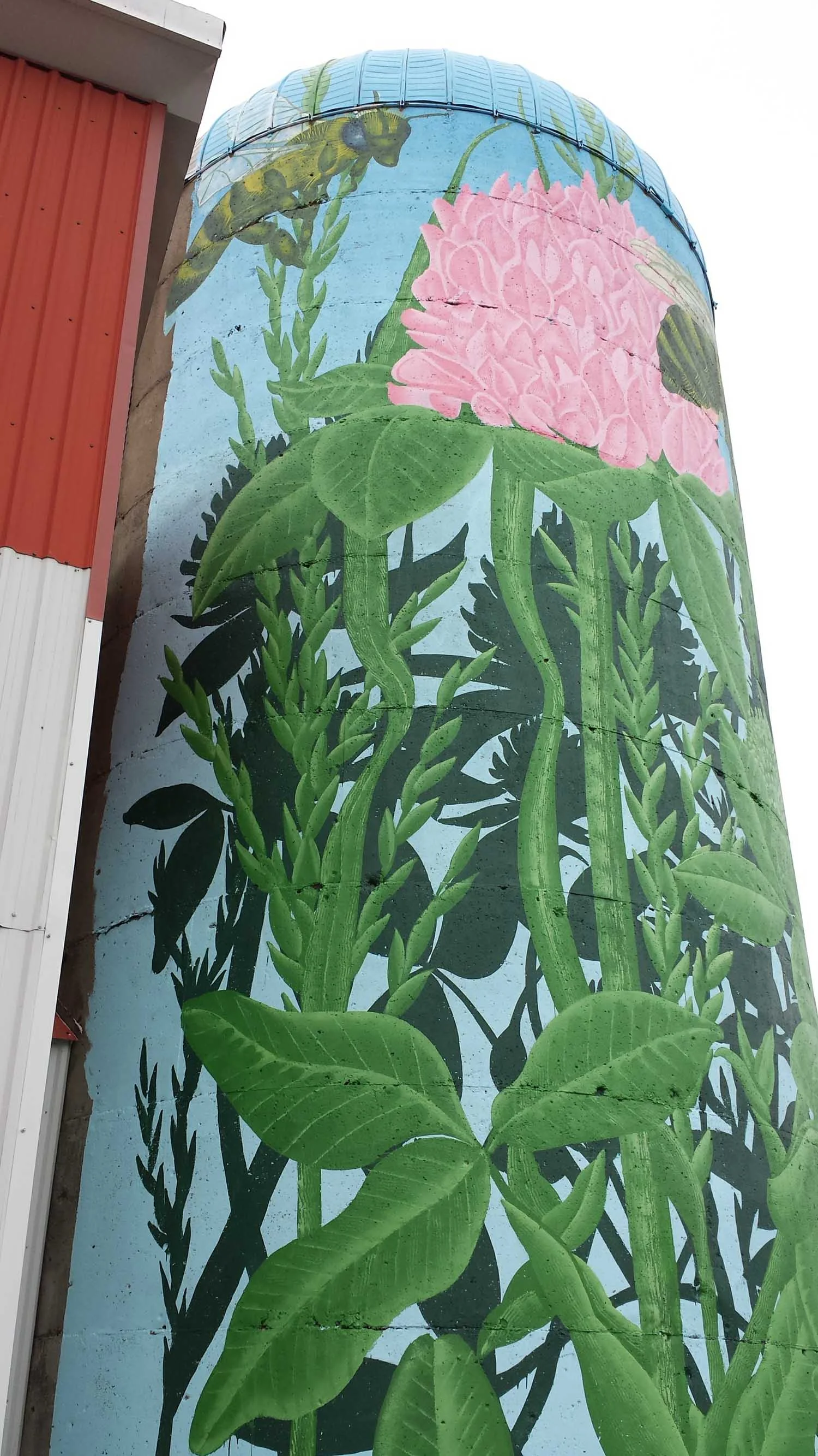 20170603_101024.jpg