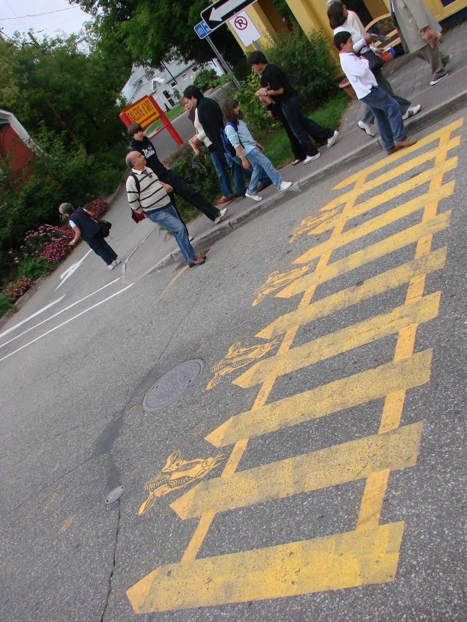 Cattle Crossing