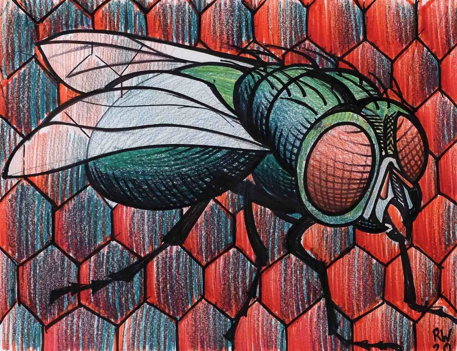 The Fly copy.jpg