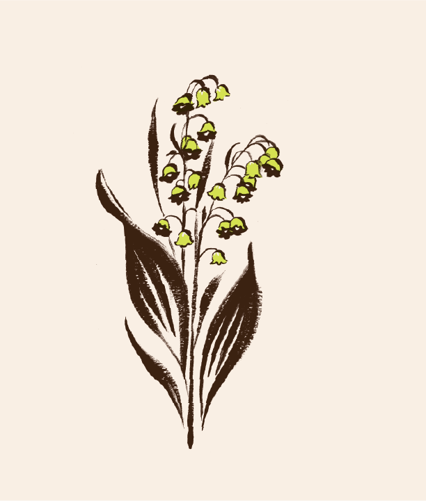 JillDeHaan_Plants-02.png