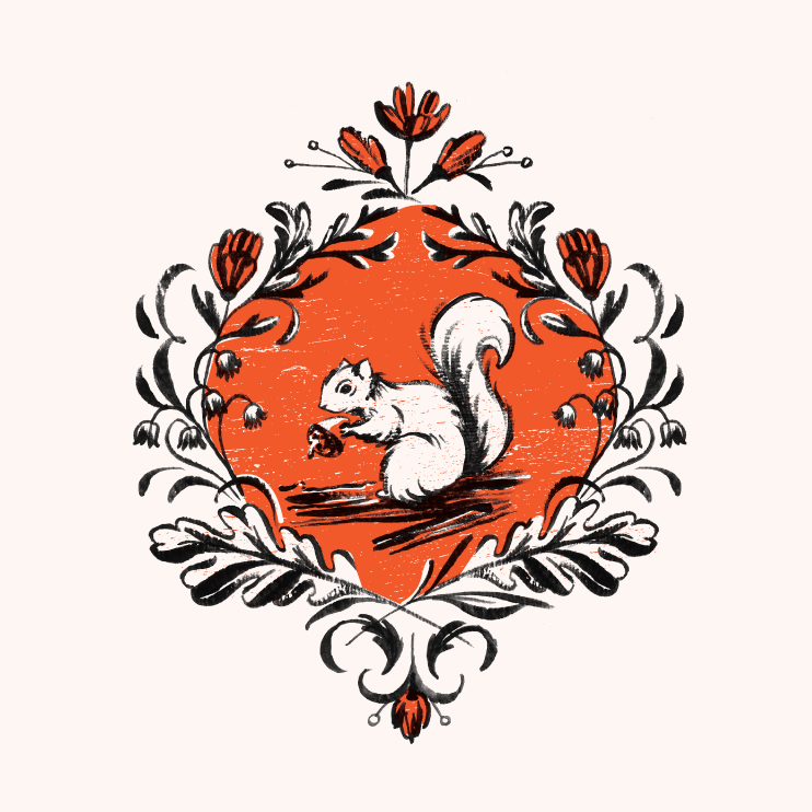 squirrel_2-04.png