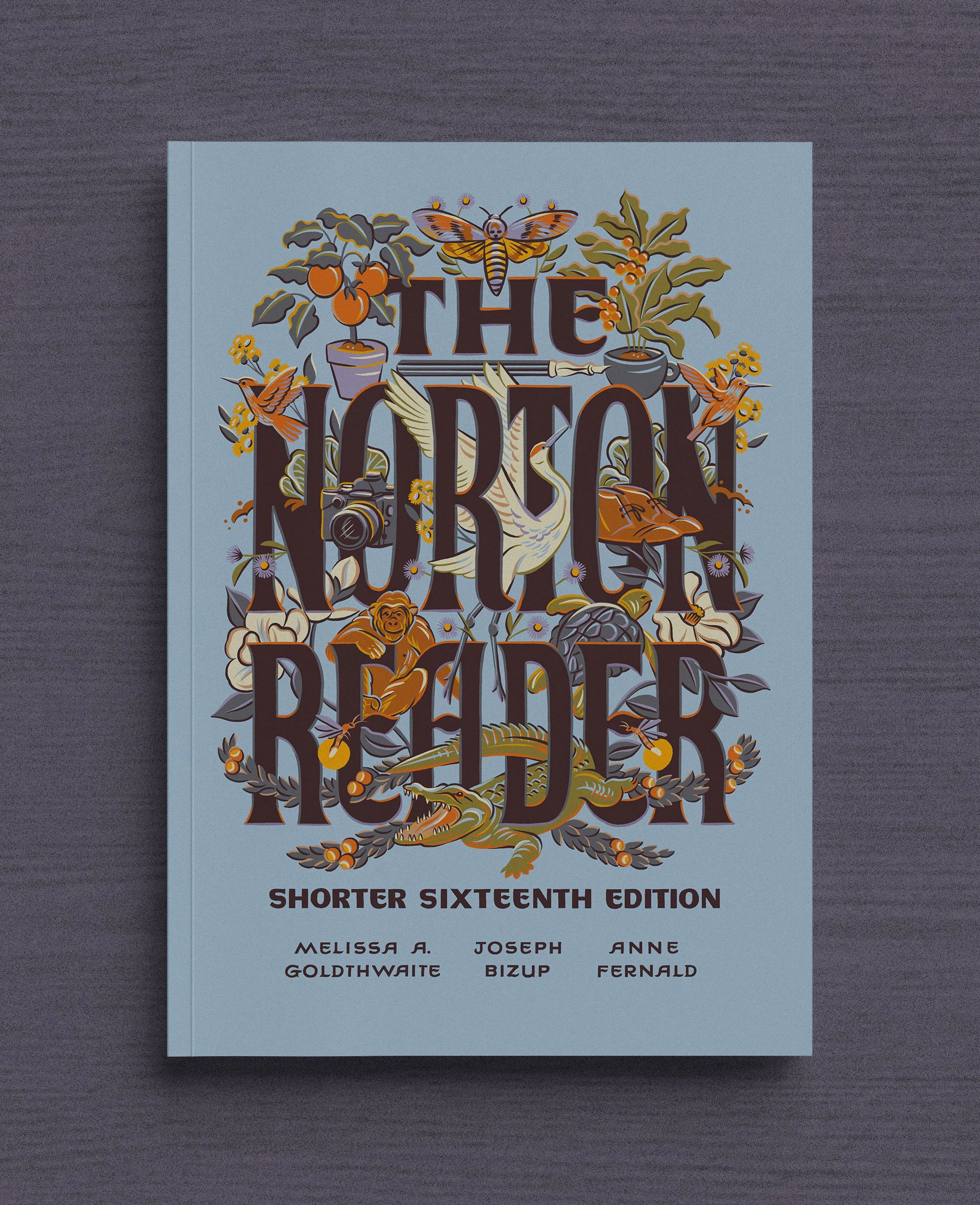 NortonReader_shorter16thEdition_1 copy.jpg