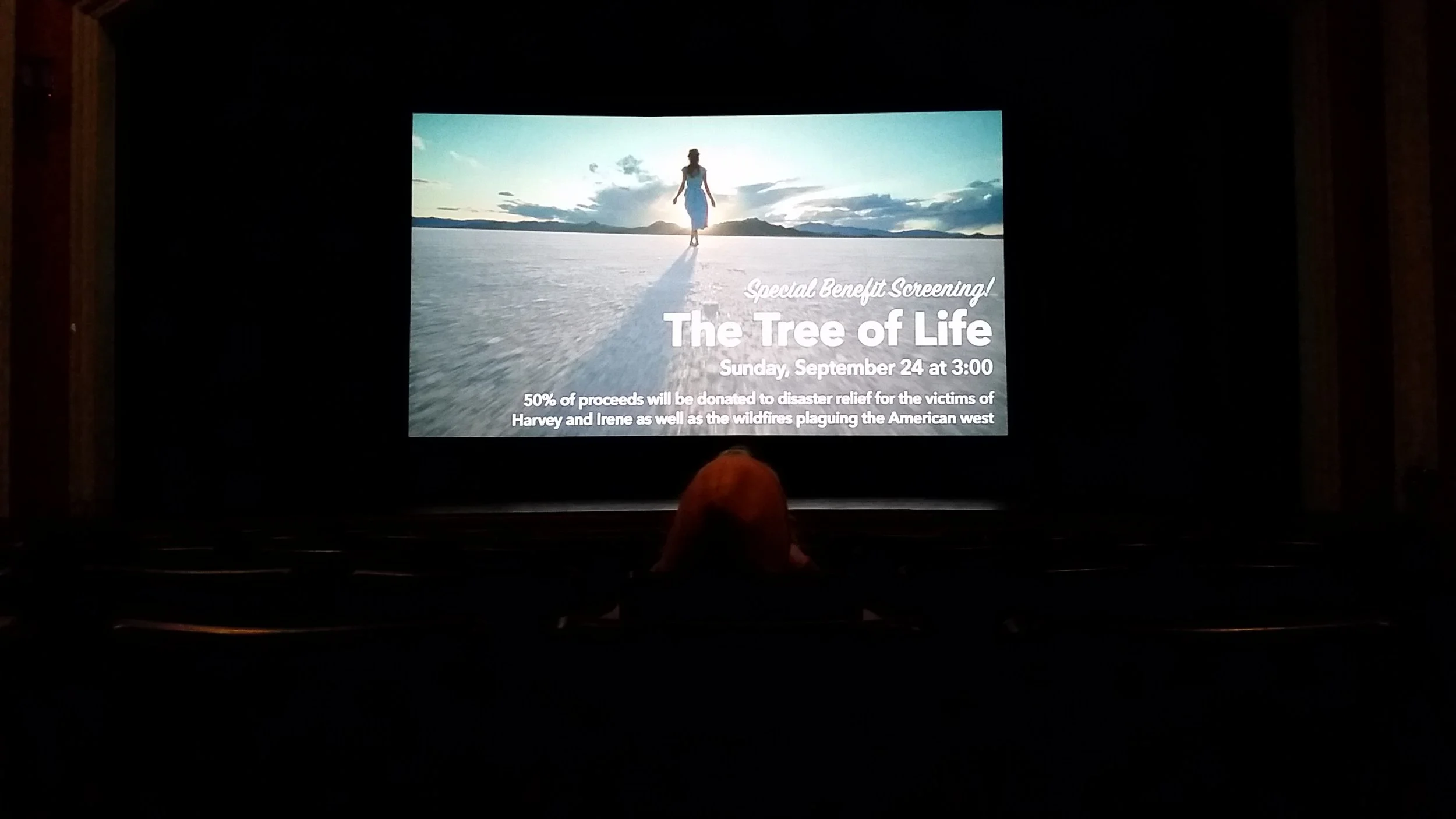 The view from my seat.
