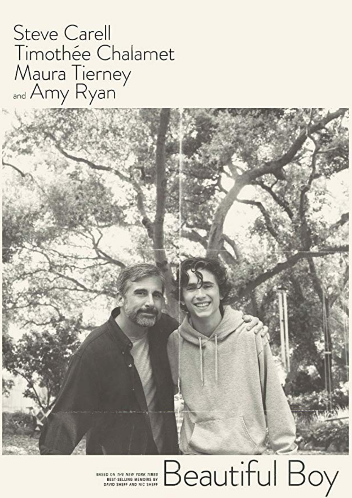 Beautiful Boy (2018) dir. Felix Van Groeningen Rated: R image: ©2018 Amazon Studios