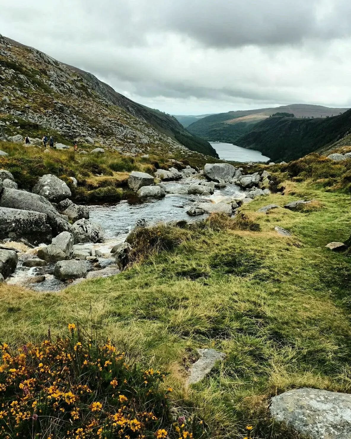Back home from an amazing trip to Ireland with so many photos to go through. 

So grateful to the lovely @kkmeder and @writtenbyro for showing me around. 

Can't wait for future visits. 💕🐑