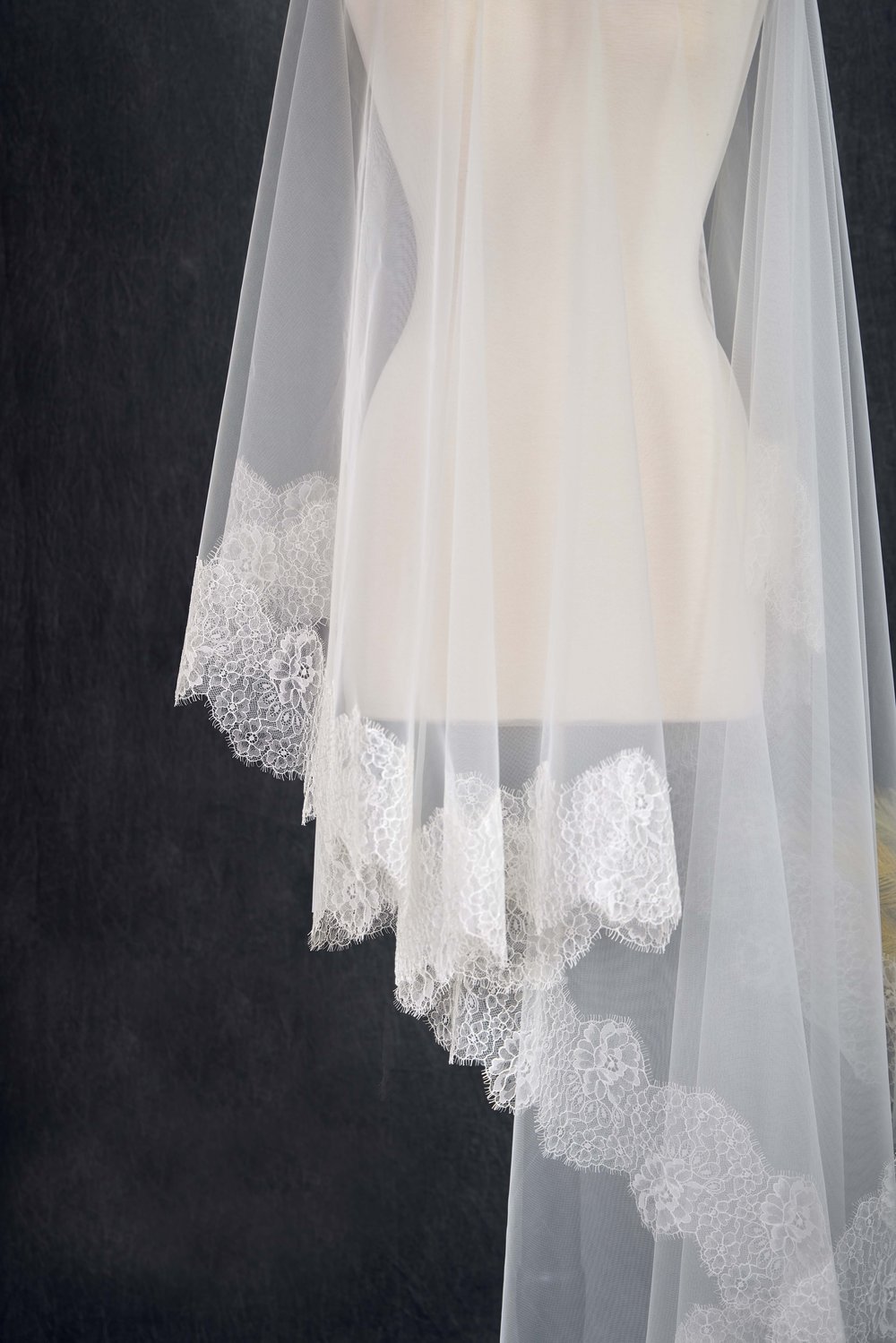 White Tulle One-tier Cathedral Length Bridal Veil with Lace Trim 108 — NK  Bride