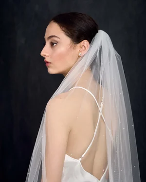 White Tulle One-tier Royal Cathedral Bridal Veil with Lace  display picture 2