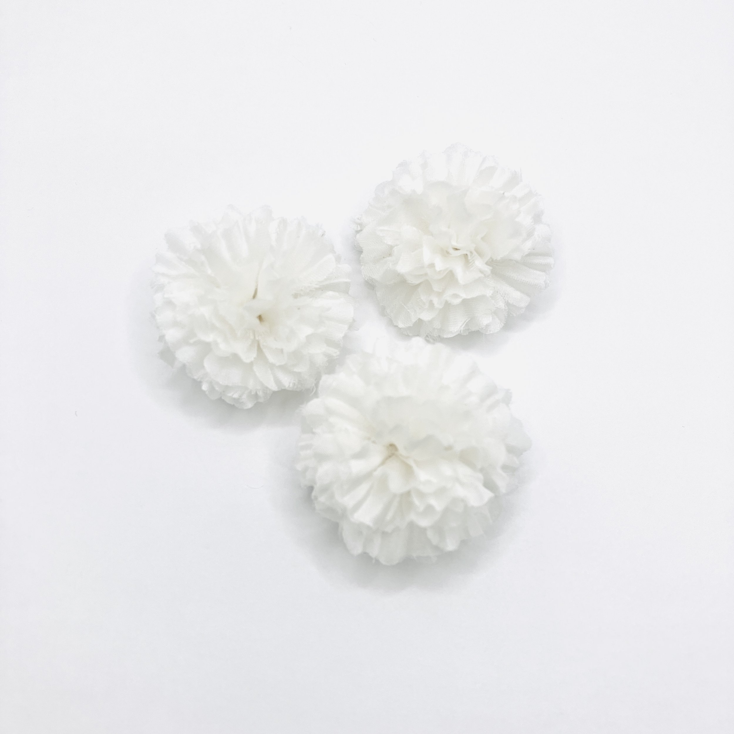 NKB CLIP-1111-WFF-SET3-SIMG_5529.JPG