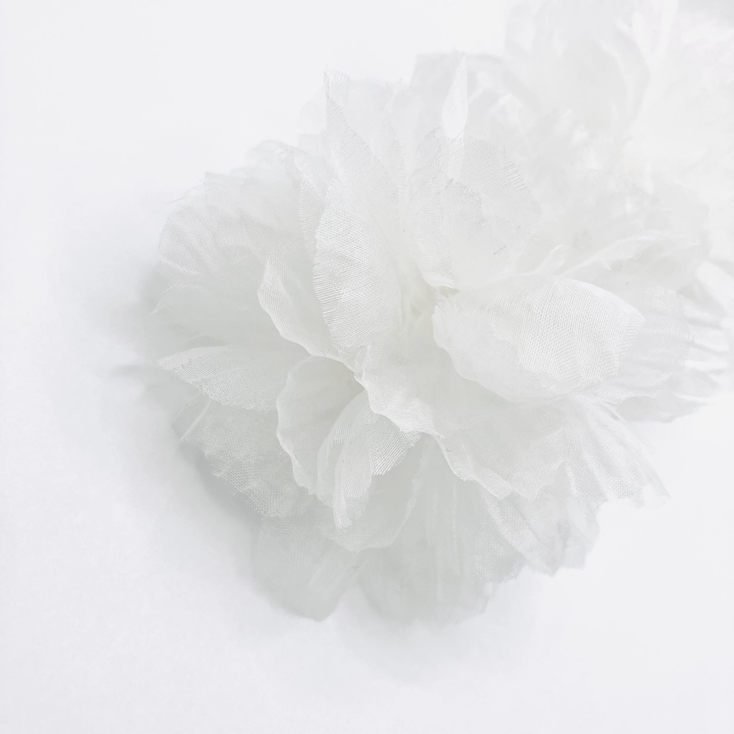 NKB COMB-8898-WFF-SIMG_5513.JPG