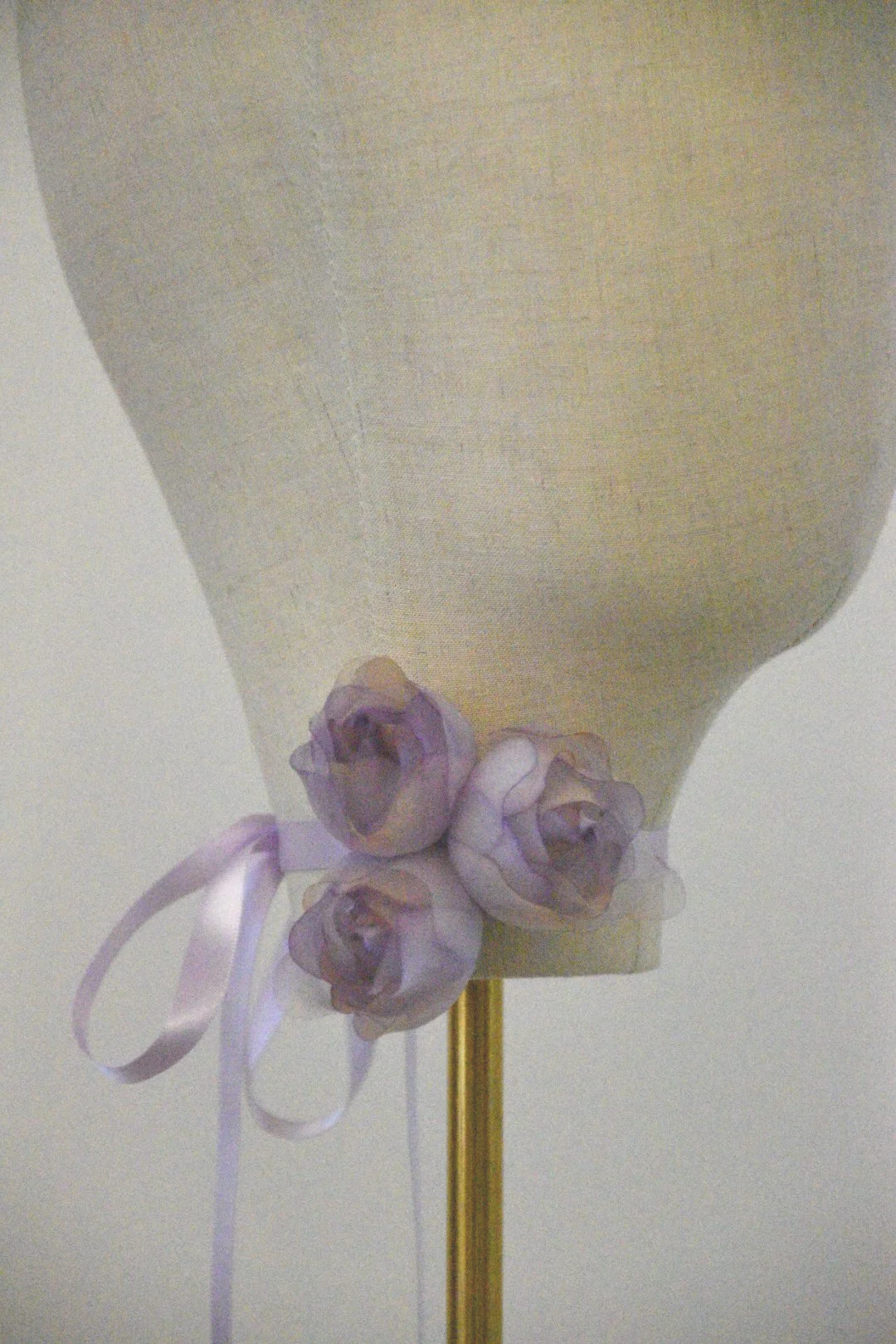 DSC_2402.png