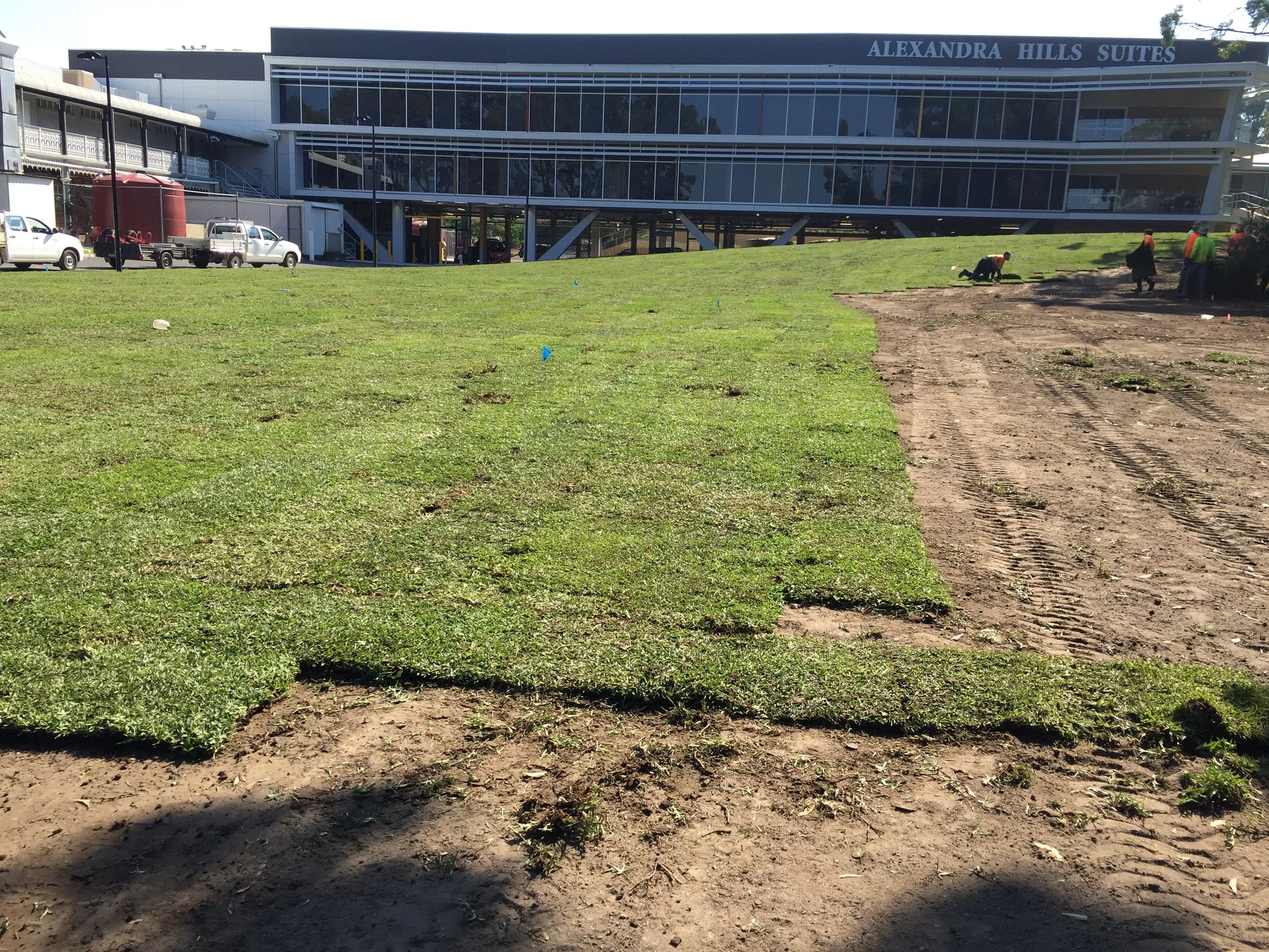 Redland turf