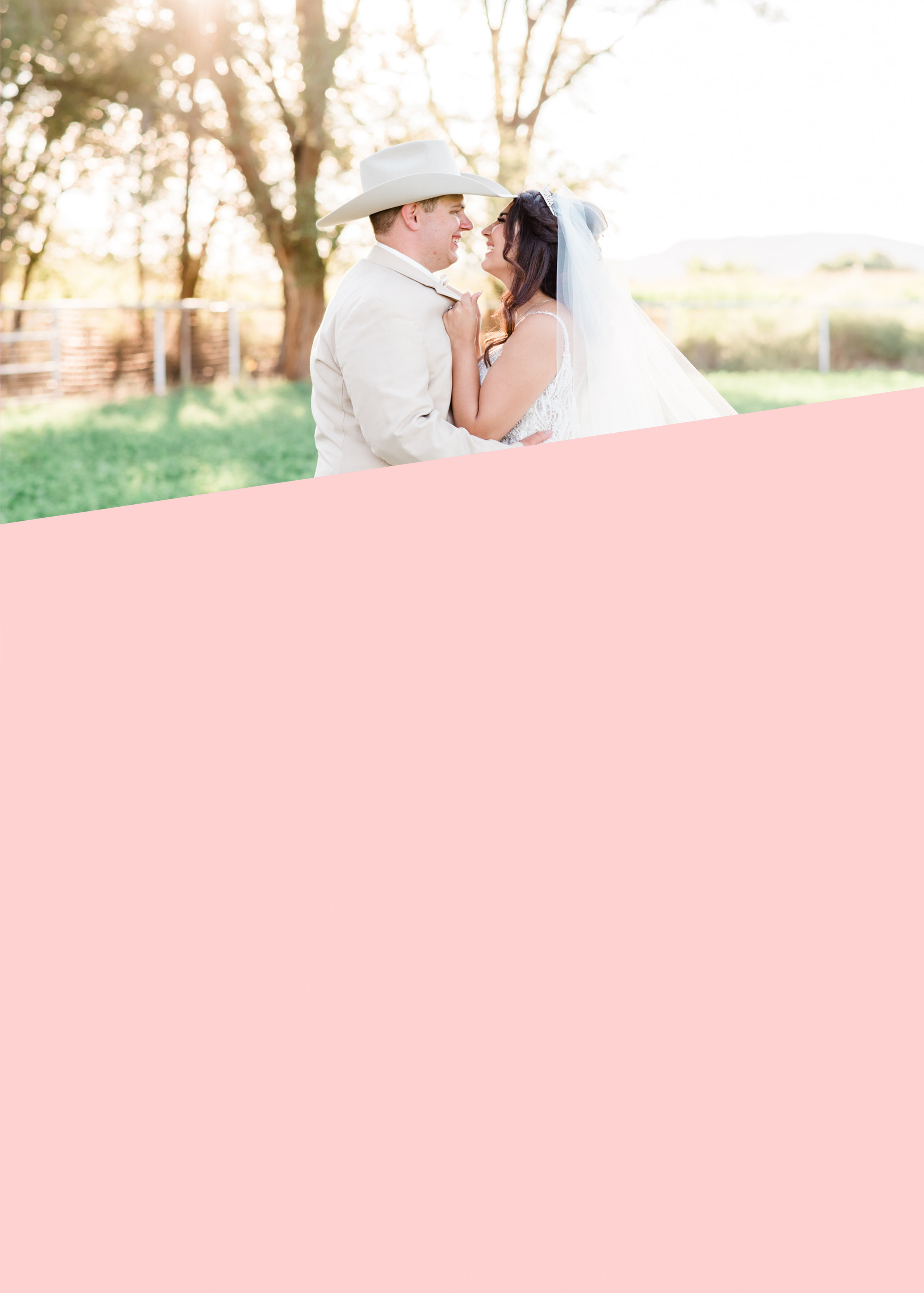 background1.jpg