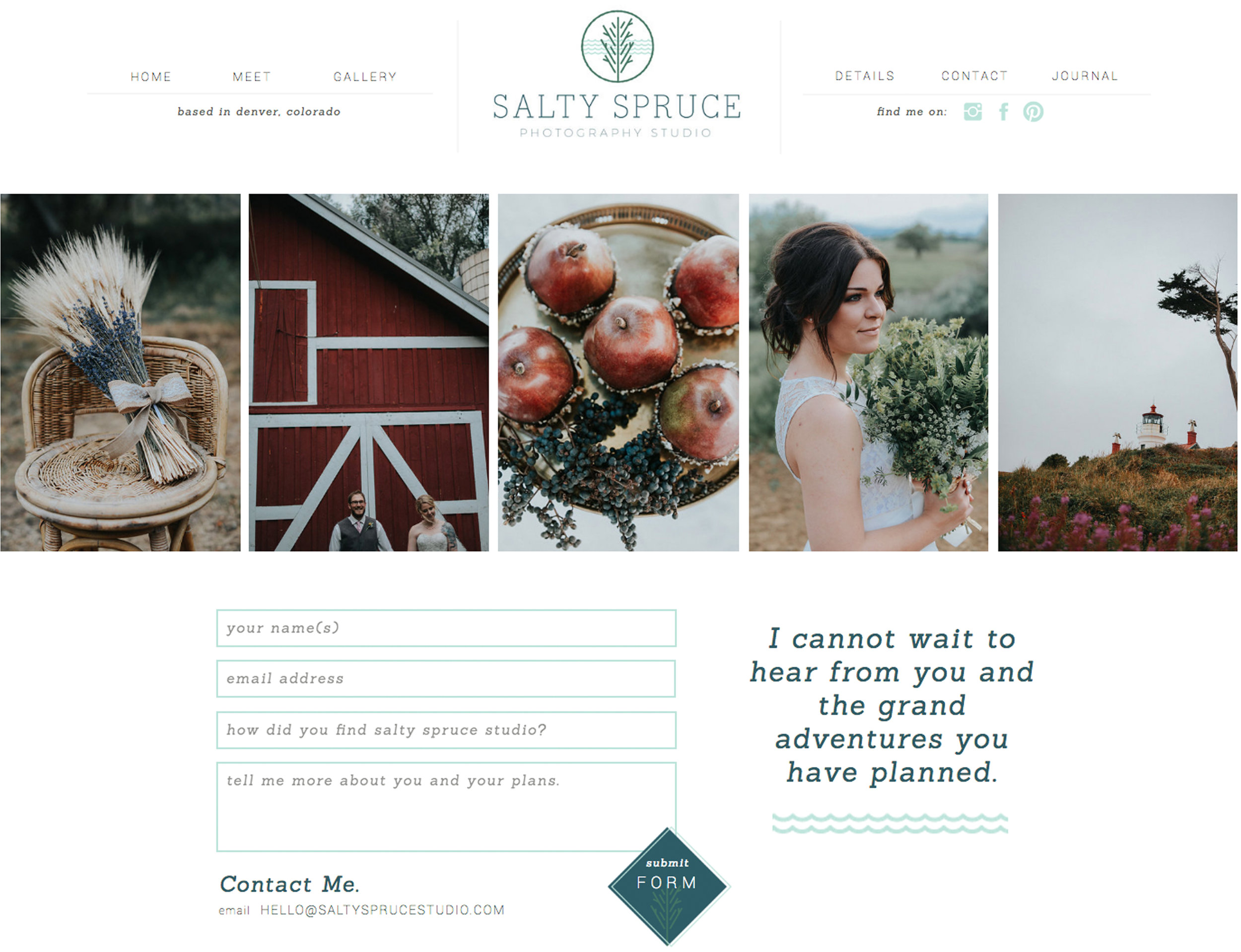 Salty.Spruce.Website.Graphic1.jpg