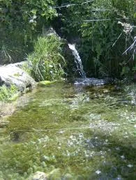  Spring water from nature.