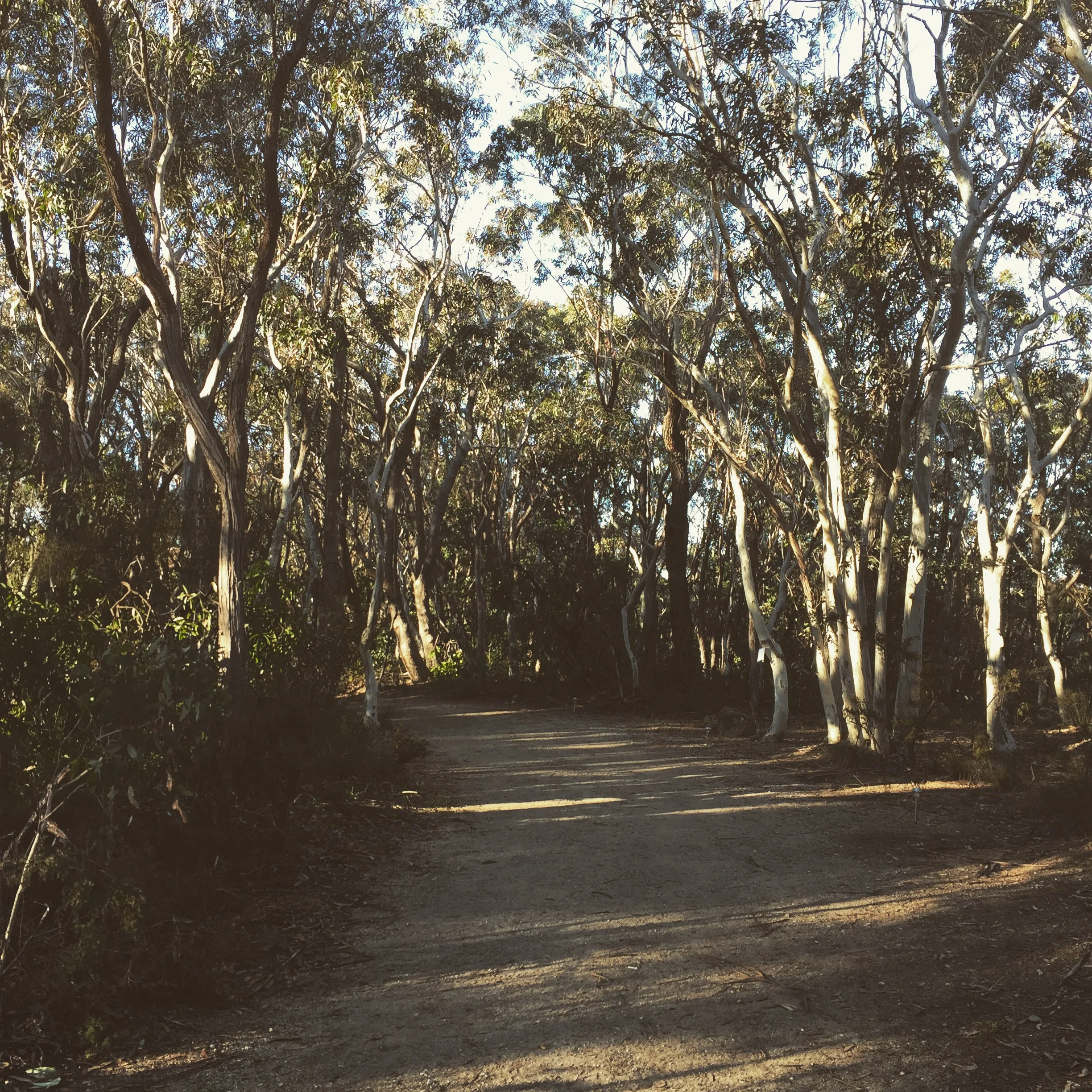 3 mistakes professional women make that keep them feeling tired, discontent and chasing their tail