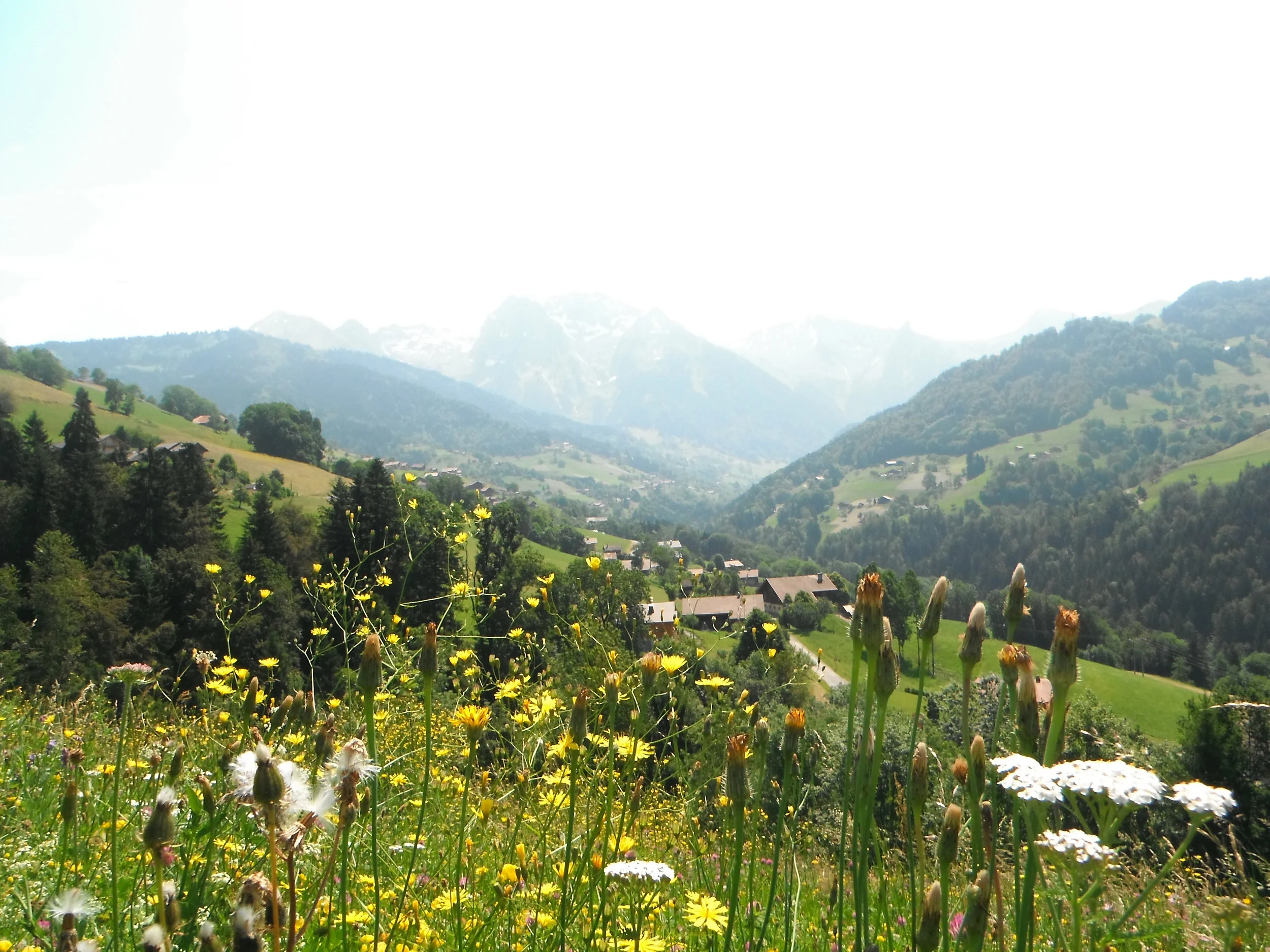 DSCF1401.JPG