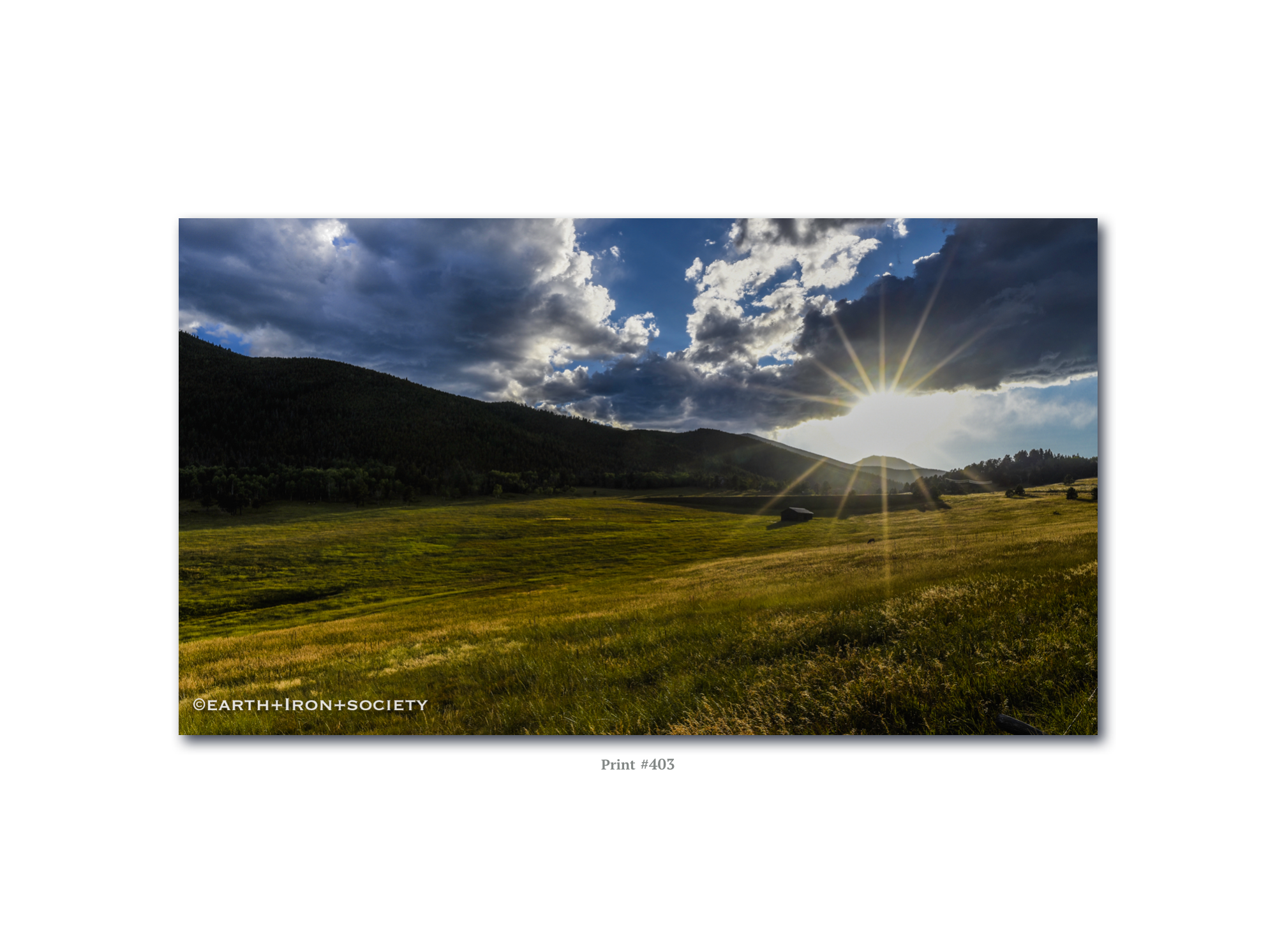 Screen Shot 2018-06-14 at 3.41.02 PM.png