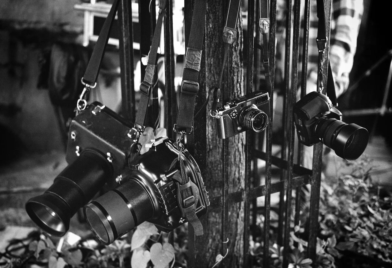I owe it all to my cameras!