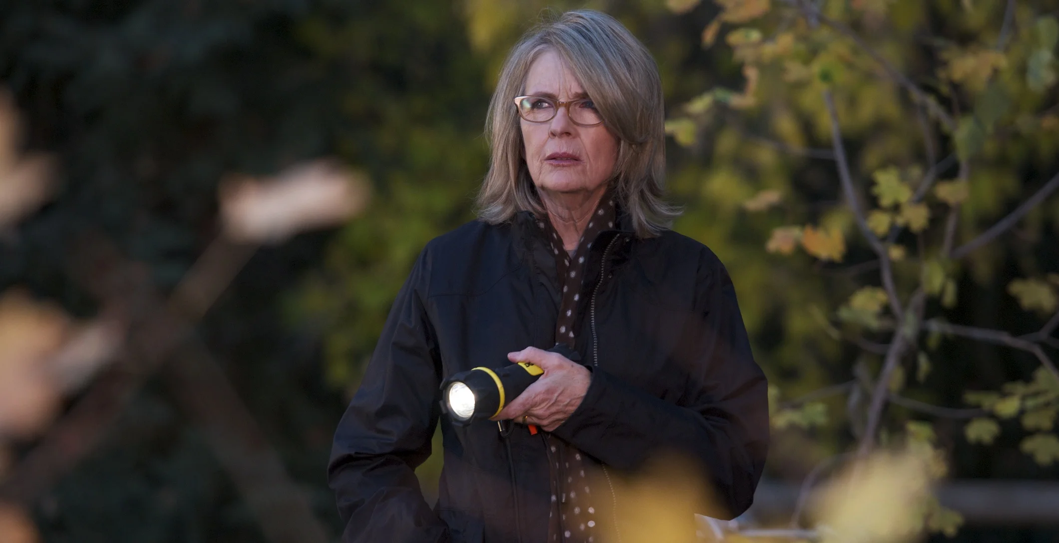Diane Keaton as Beth looks for her dog in Darling Companion (2012)
