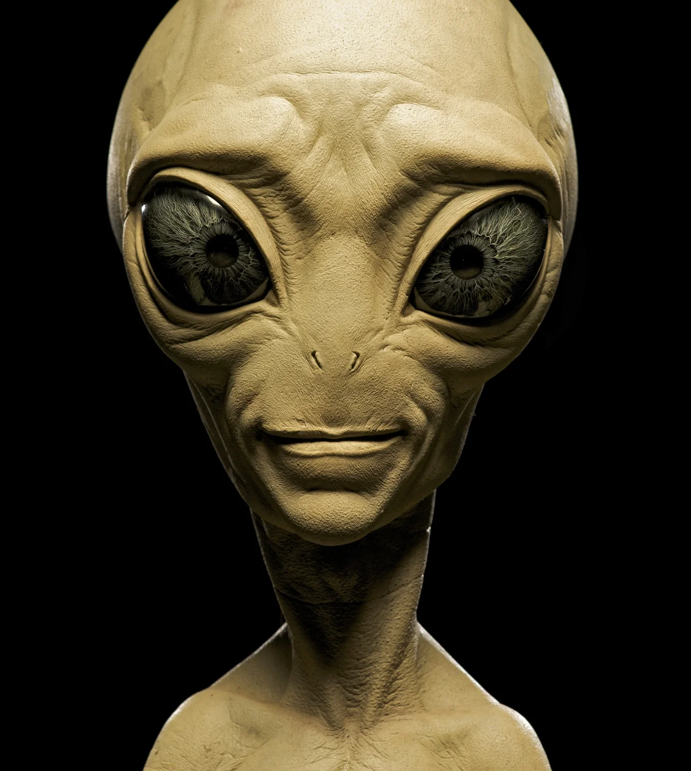 The alien himself Paul (2011)