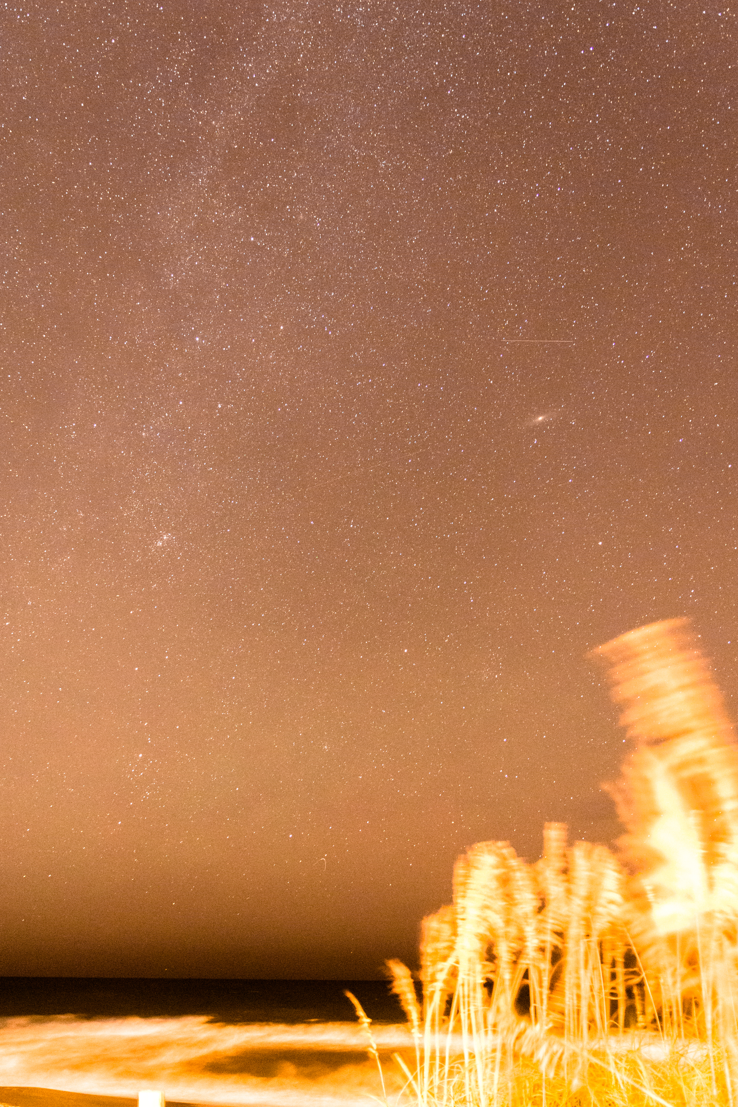 Andromeda Galaxy Over Sea Oats