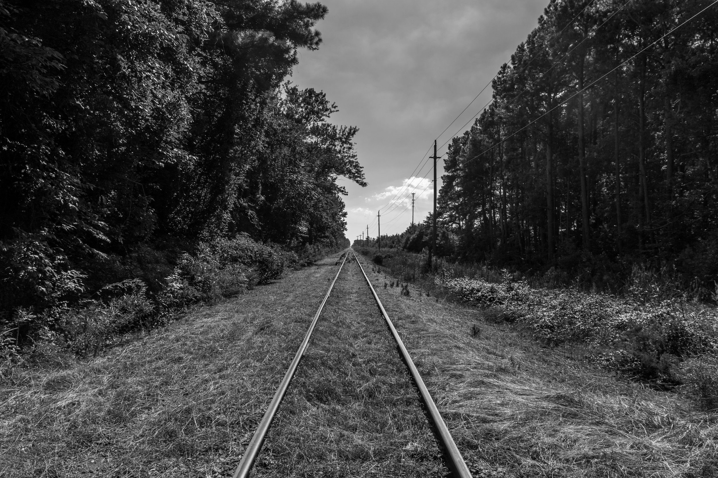 Abandoned Rails