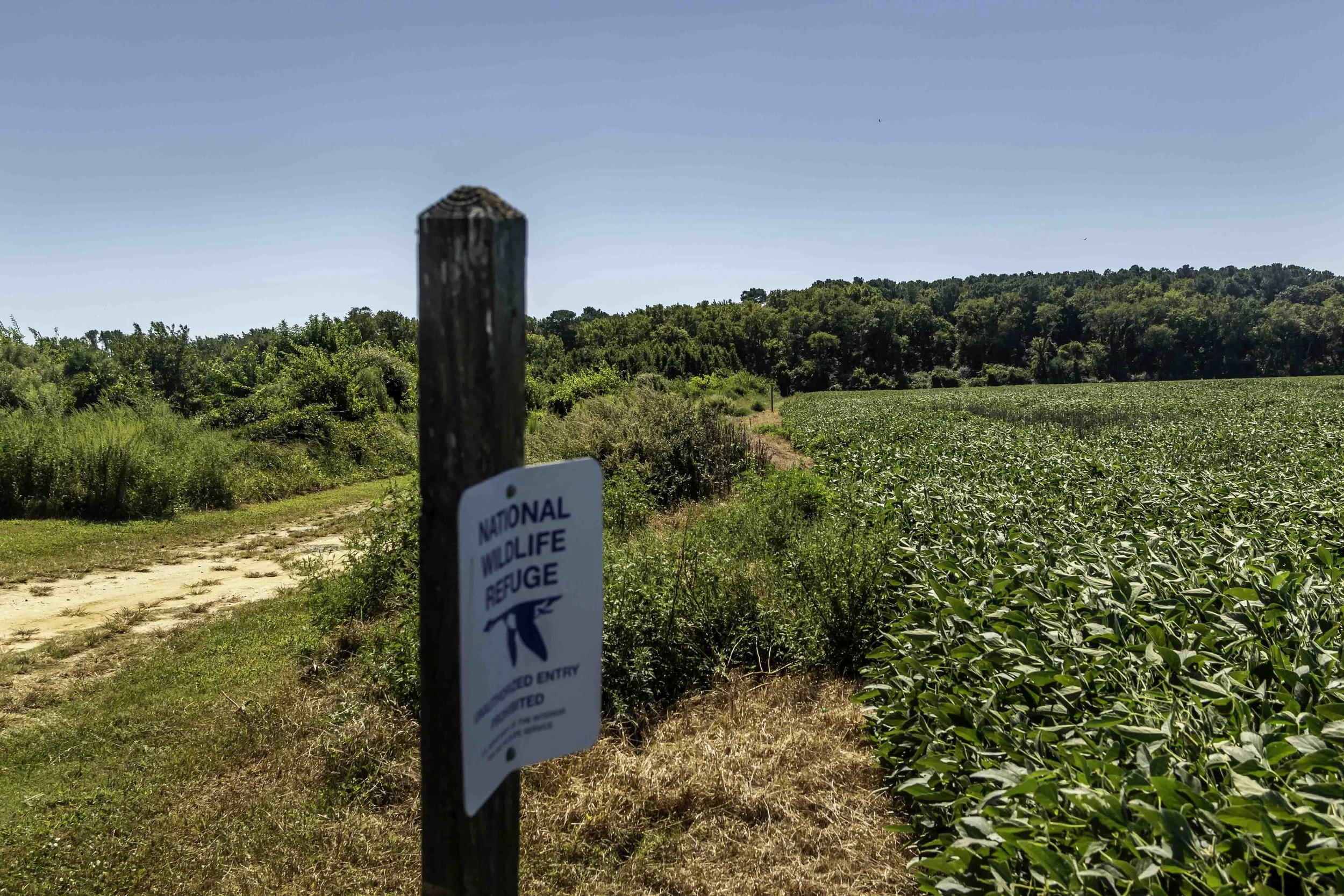 Getting Lost, or Trespassing?