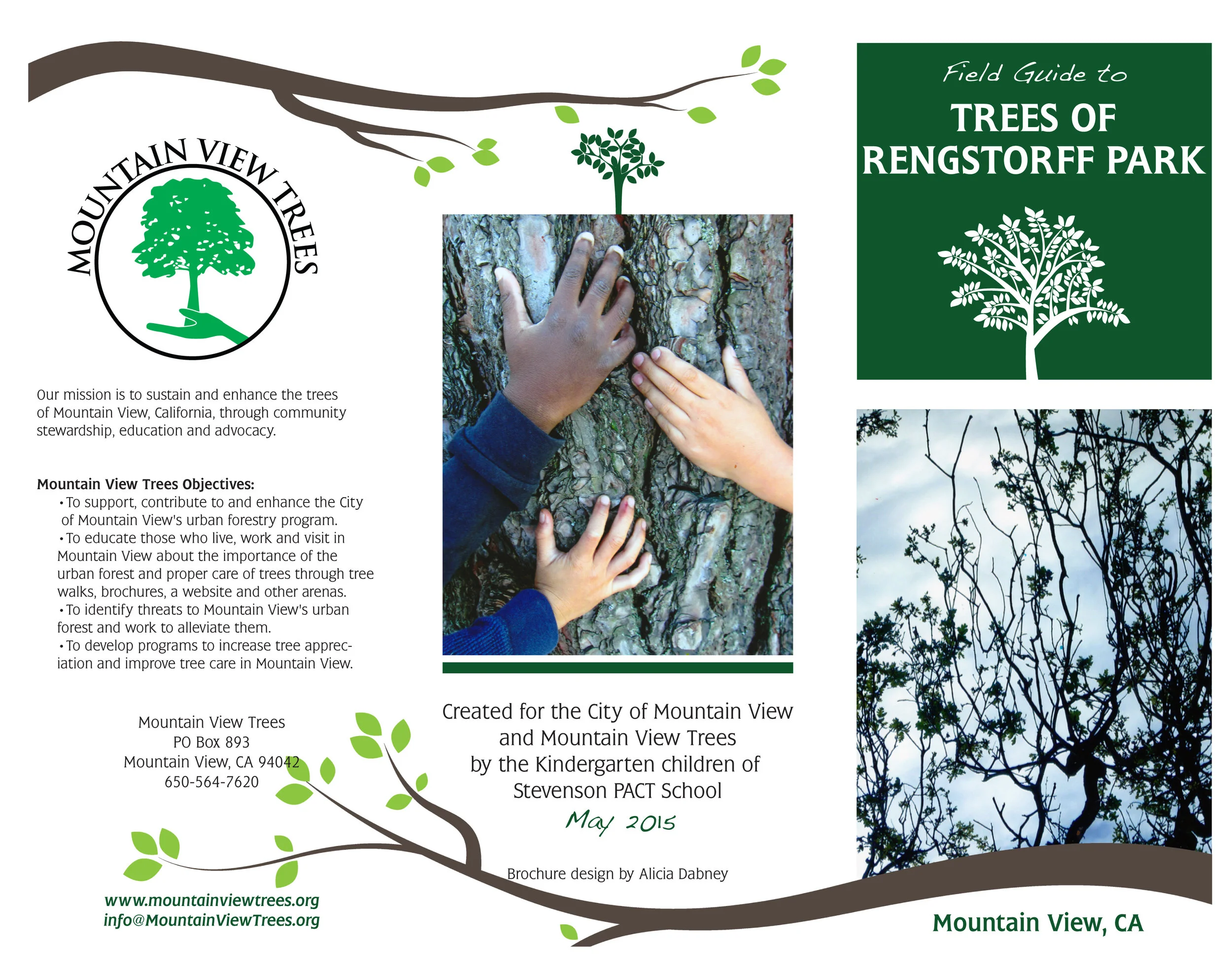 tree brochure example.jpg