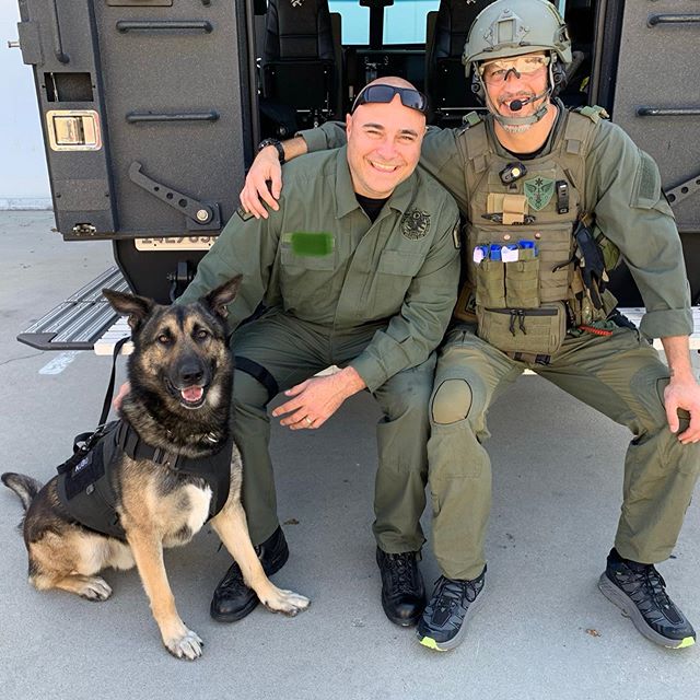 Training today with one #Furmissile🚀 and one #Baldmissile 🤣 @cypresspd_k9_kubo @touchingthedragon @traumamonkeys