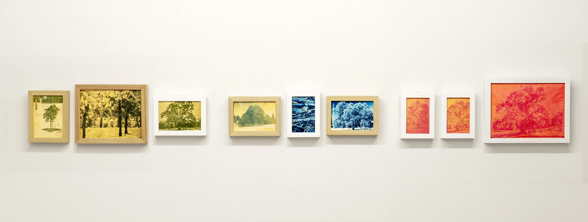 gallery wall photos copy.jpg