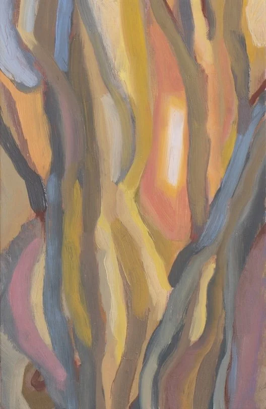 imaginary landscapes.jpg