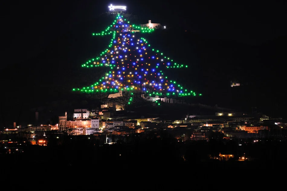 Worlds Tallest Christmas Tree