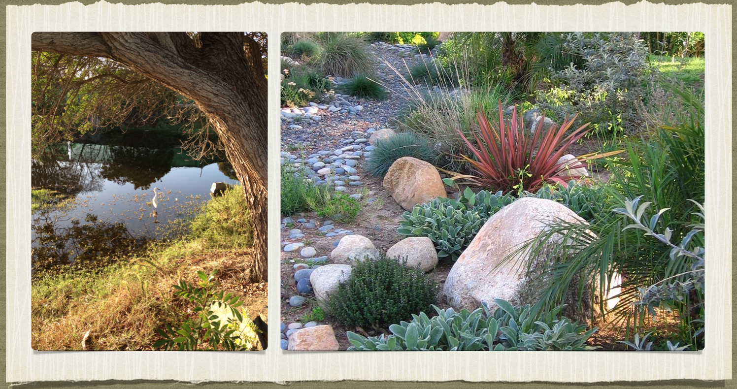 bayfriendlylandscapes