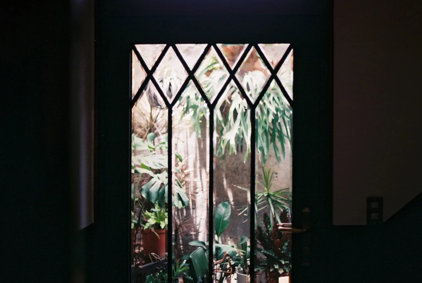 F1010004.JPG