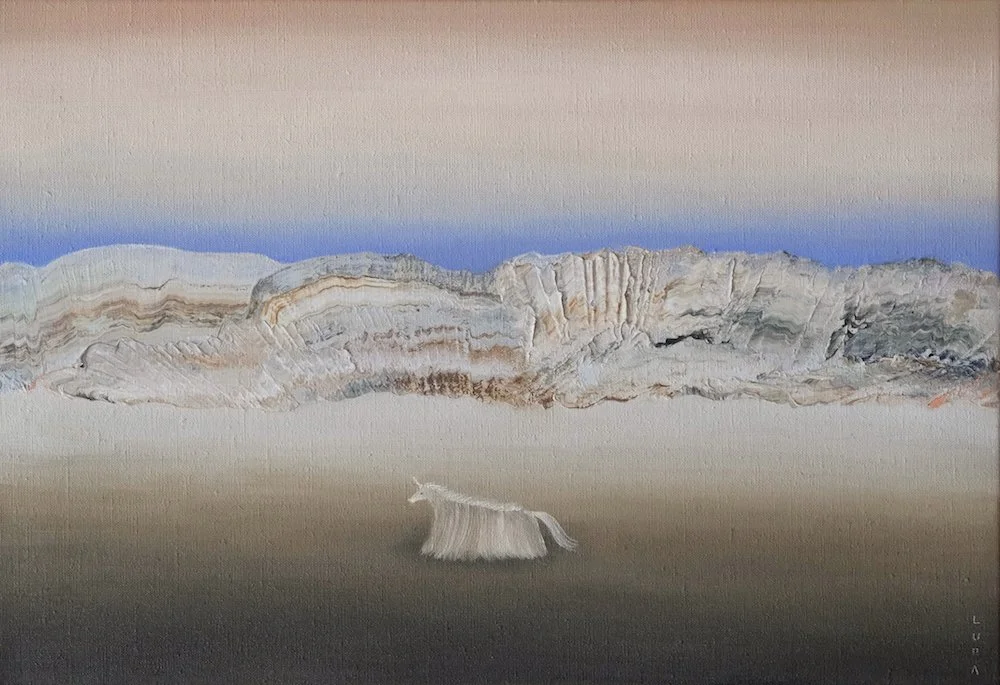 長毛獨角獸II 2.JPG