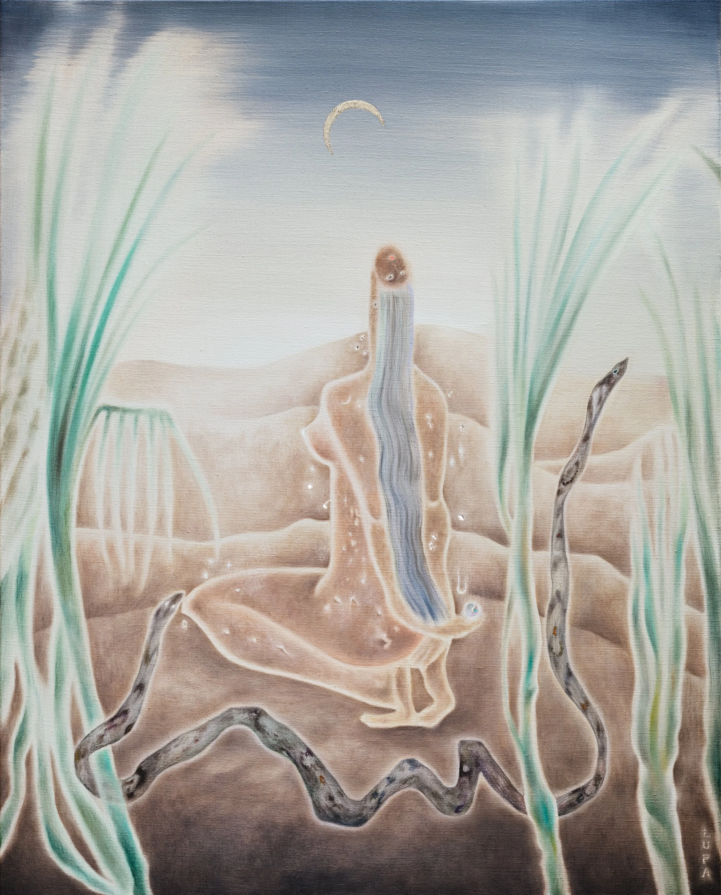 蛇洲sRGB 網路_.jpg