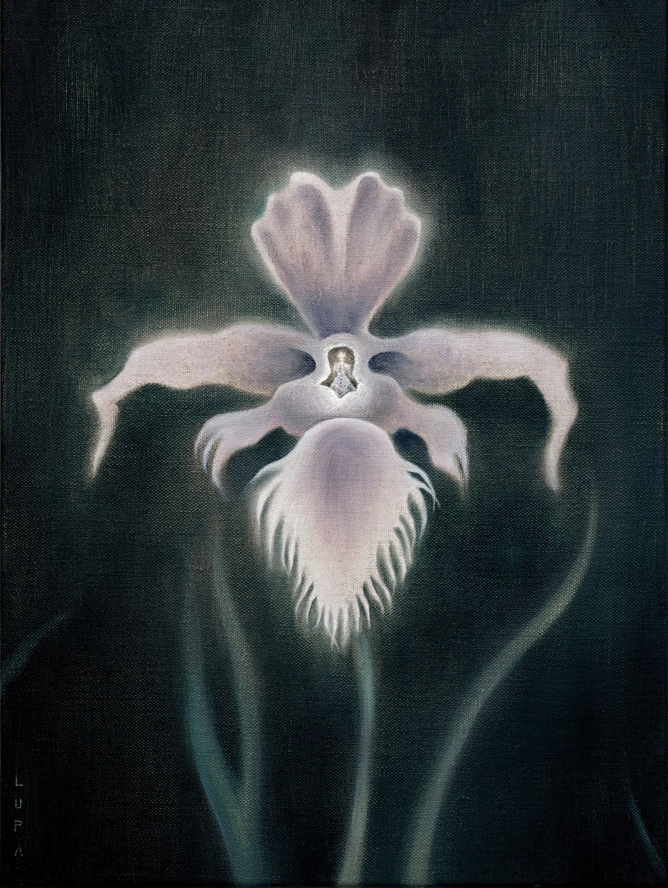 20250418140524 mini SRGB 網路.JPEG