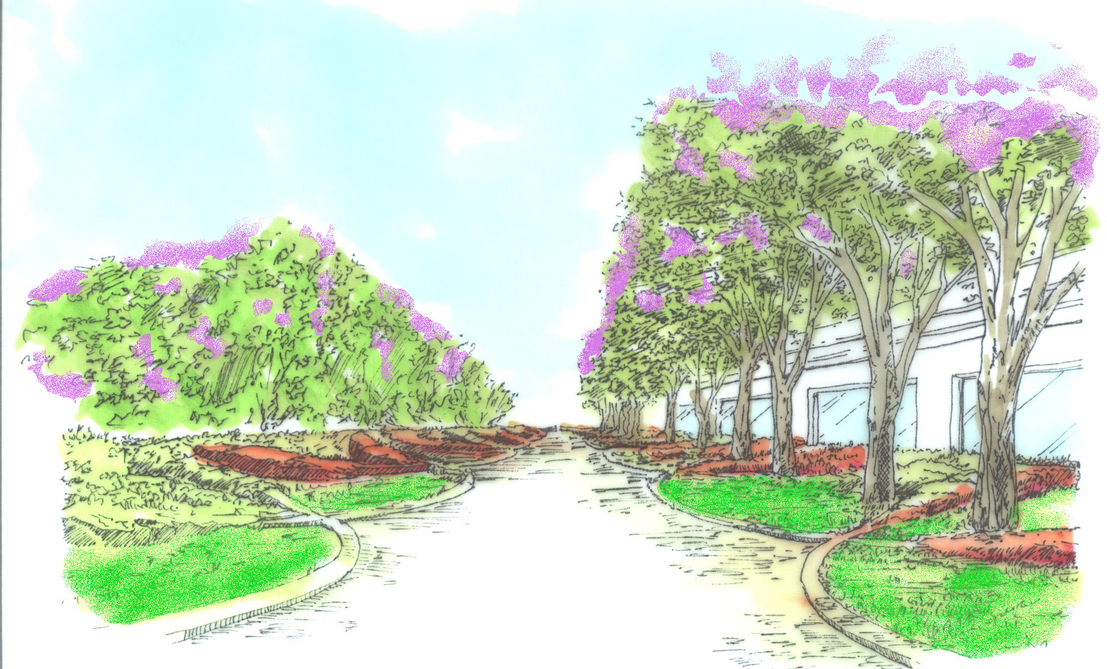 allée_arbre01.jpg