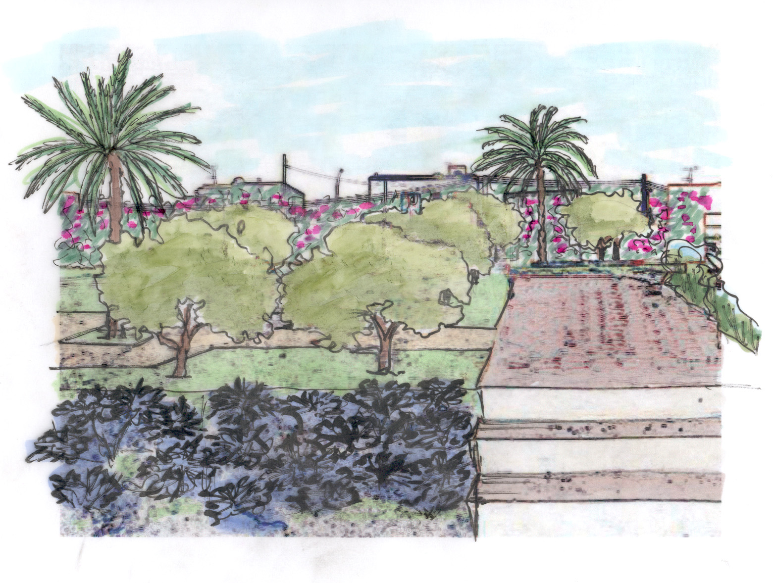 The mesh composed with olive trees and palms aims to imitate an orchard, in which the users can combine business with pleasure in a space of contemplation, of relaxation and of walk, through the use of antagonistic concepts such the notions empty and full, contrast of shape and of dimension like the static bearing of the olive tree and the dynamic bearing of palm, ...