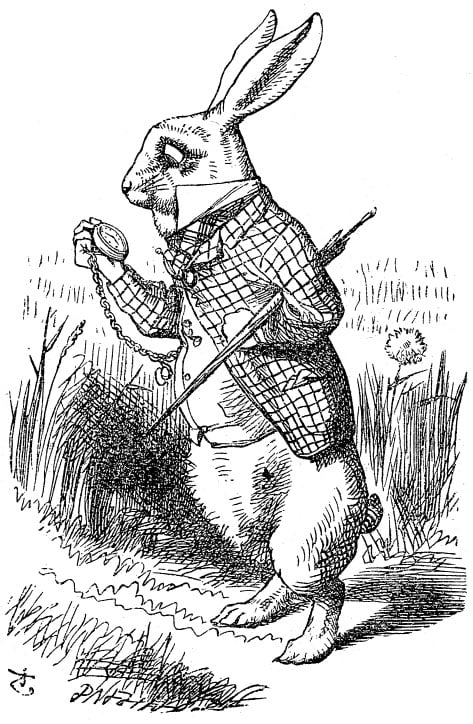 The White Rabbit - Alice's Adventures in Wonderland By Lewis Carroll