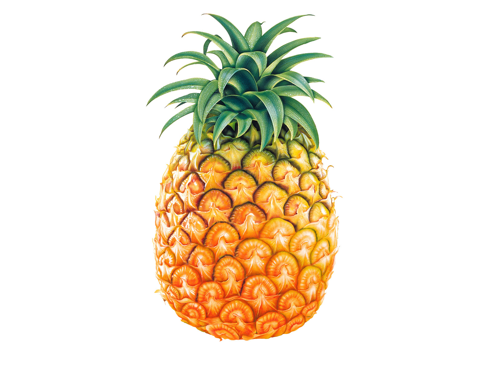 This is a Pineapple.