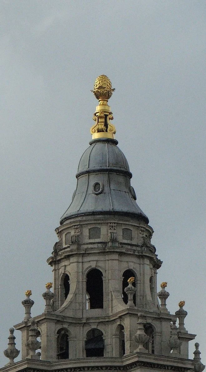 This is a Pineapple. — Lewis Connolly