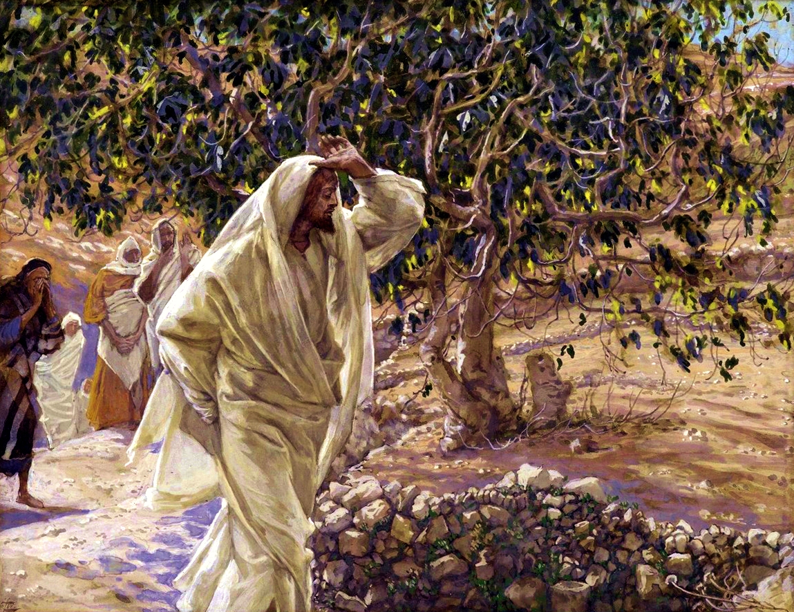 Jesus cursing the fig tree.