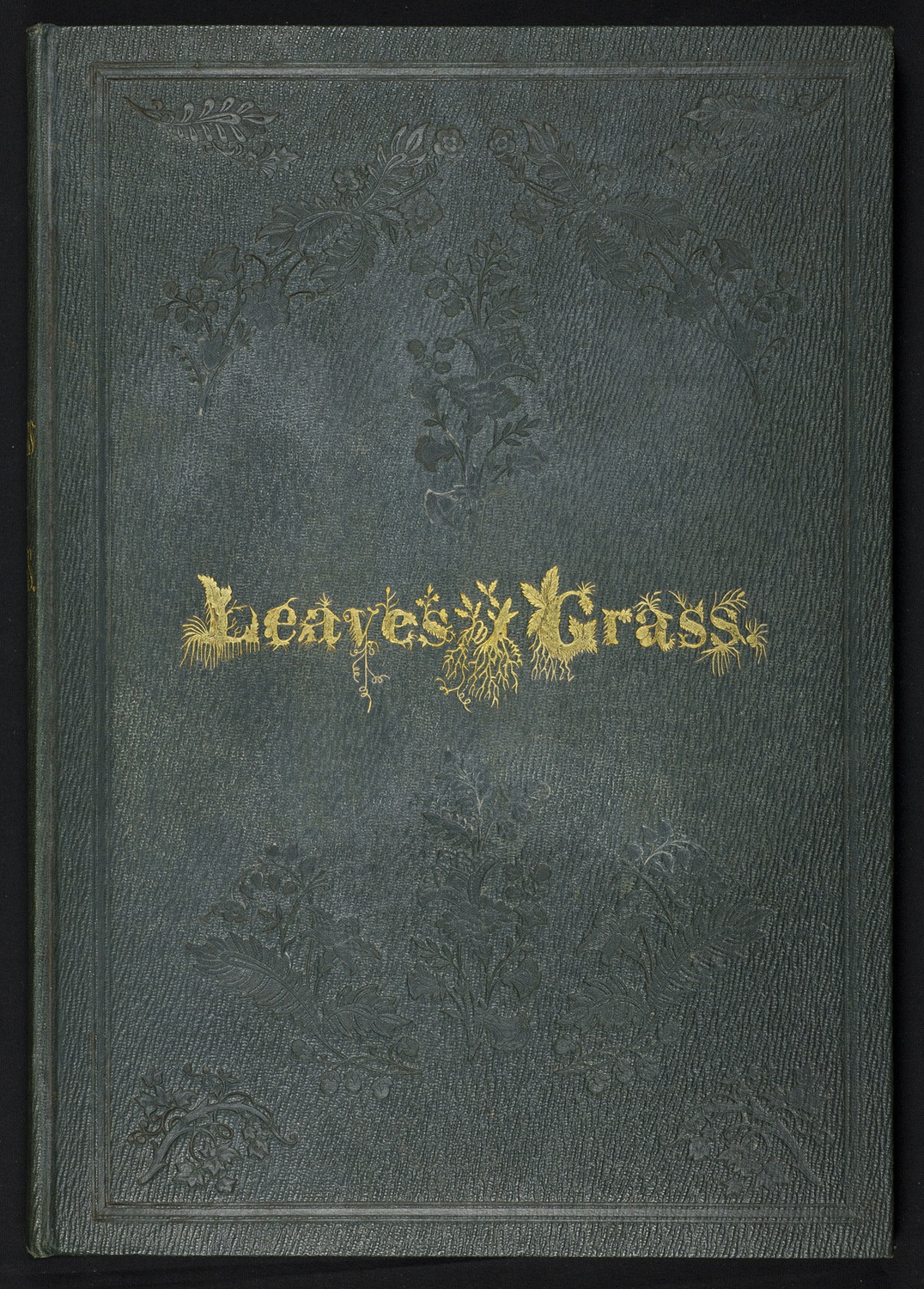 Cover of the First Edition.