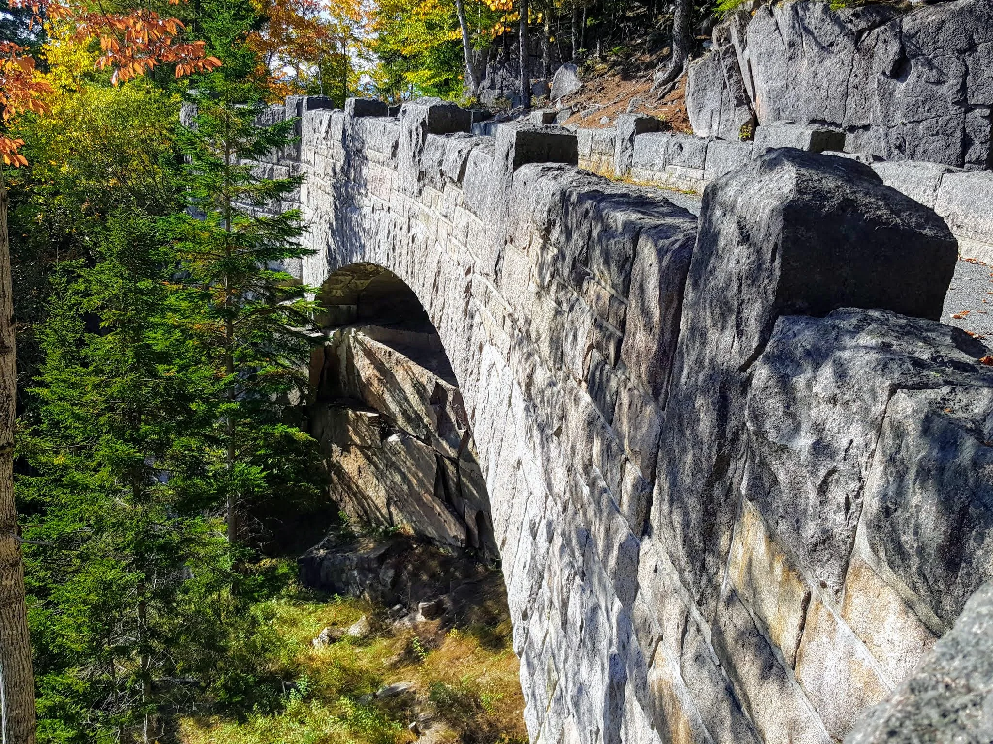 20171013_094629.jpg