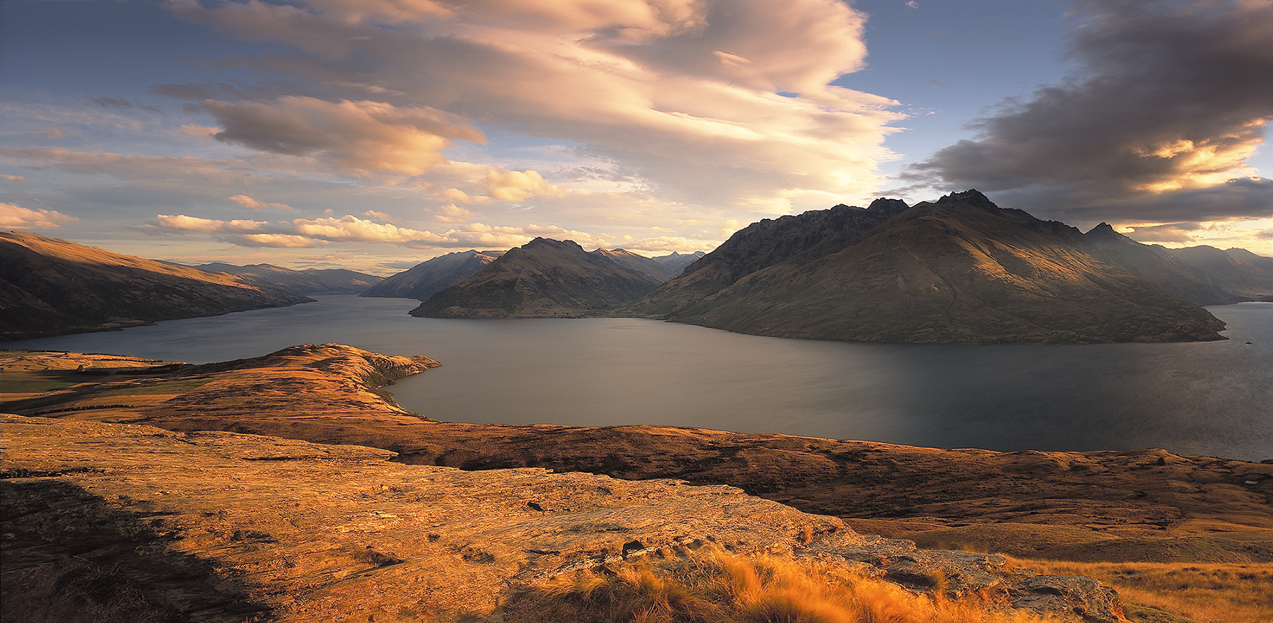 NZ Landscape.jpg