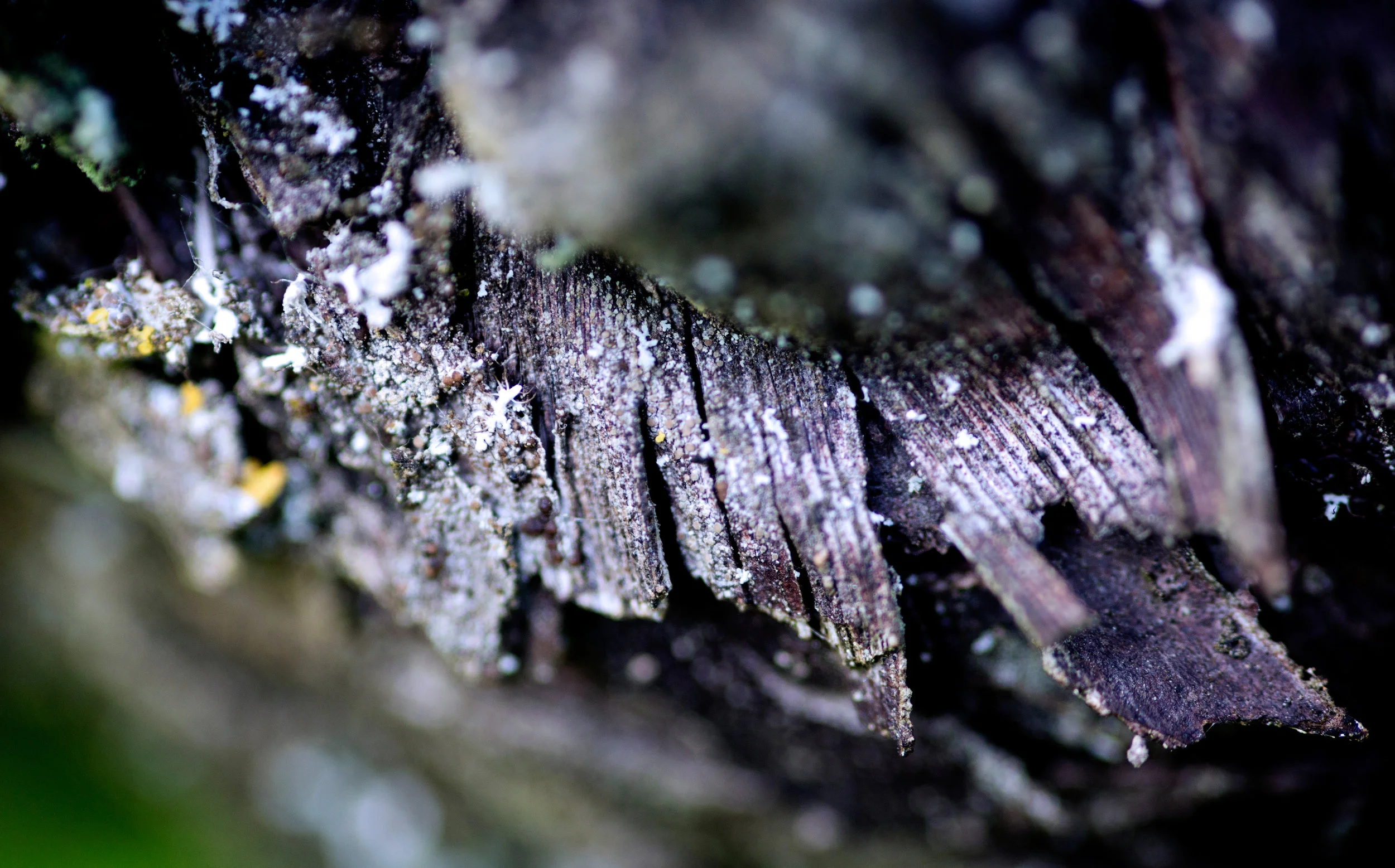 Abstracts_B828.jpg